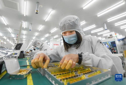 靠譜服務驅動技術創(chuàng)新，標準引領未來——一家光通信企業(yè)的出海秘籍