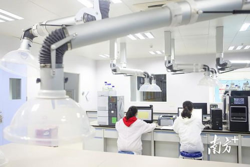 深圳首季高新技術企業培育資助突破20.5億元，通訊工程技術研發與服務成重點扶持方向